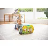 Infantino Peek & Roll babahenger