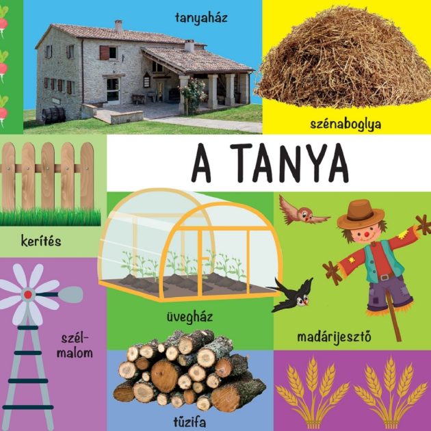 Napraforgó 101 színes kép a tanyáról