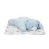 Lorelli Poffy Duo takaró 75x90 cm párnával 45x30 cm - White Blue Teddy Bear