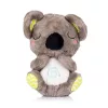 Chipolino Koala zenélő plüss játék - beige