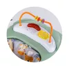 Chipolino Jumpy Car rugós hinta - Mint