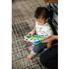 Baby Einstein Rágóka/könyv Curious Explorers ™, 0 hó+