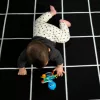 Baby Einstein Rágóka/csörgő Opus’s Shake & Soothe™, 0 hó+