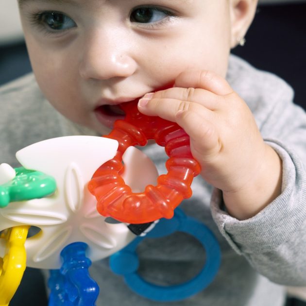 Baby Einstein Rágóka, Ocean Explorers Sea of Sensory™, 3 hó+