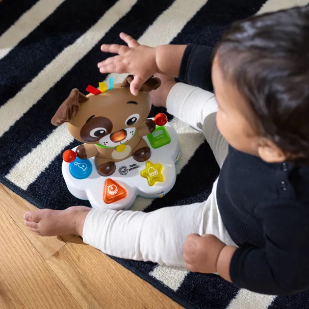Baby Einstein Zenélő fejlesztő játék Drum & Learn Dean™ - 6hó+
