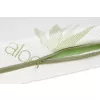 BABYMATEX Flora matrac 120x60x10