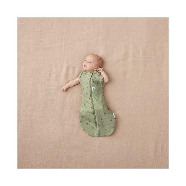 ERGOPOUCH Pólya és hálózsák 2 az 1-ben 0-3 hónap 3-6 kg 1 tog - Cocoon Willow