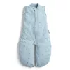 ERGOPOUCH Hálózsák és kezeslábas 2 az 1-ben organikus pamut Suit Dragonflies 3-12 hónap, 6-10 kg, 0,