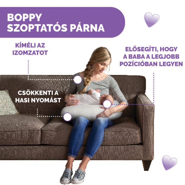 Chicco Boppy® Anywhere szoptatós párna formatartó töltet - Little Farm