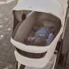 Chicco Flexi mózeskosár csak szettben kapható a Bellagio babakocsihoz Kory Plus hordozóval
