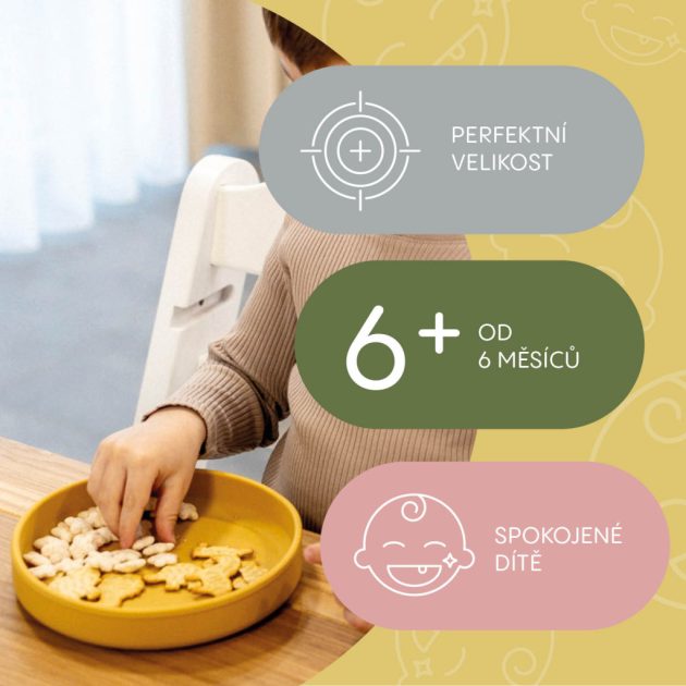 Zopa Szilikon tányér - fenyőzöld Forest Green