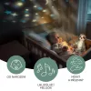 Zopa Plüss alvójáték égbolt projektorral és dallamokkal, mosómedve Raccoon