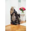 Britax Römer Rio Lux babakocsi - Soft Taupe