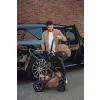 Britax Römer hordozó Baby-Safe Pro Vario Base 5Z bundle Lux - Onyx Black