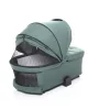 ZOPA Set stroller Move Cross 2 + carrycot XL Antique Green/Gold