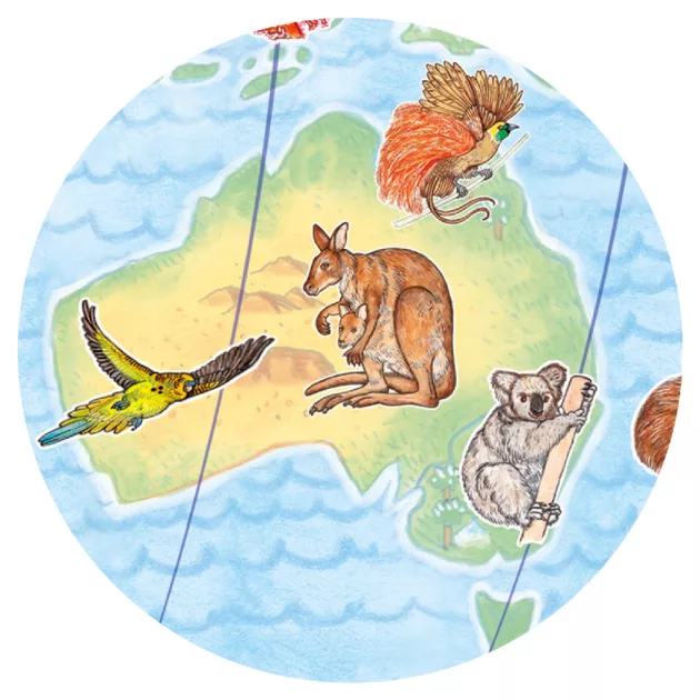 Djeco Megfigyeltető puzzle Föld állatai - Animals of the earth