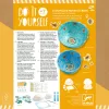 Djeco Design by Csináld magad! Dísztálkák tengerben - In the sea
