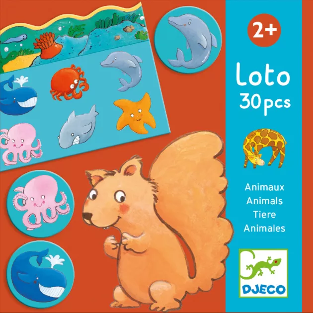 Djeco Képeslottó Állatok élőhelye - Animals loto