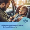 Canpol babies Vízálló egyszer használatos előke zsebbel 10 db