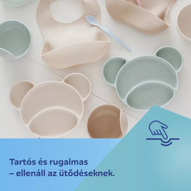Canpol babies Szilikonos, osztott tányér tapadókoronggal, Mackó - zöld