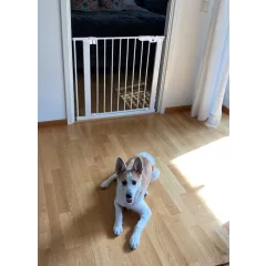   DogSpace Lassie nyomás rögzítő kapu rács kutyáknak 73-80cm - fehér