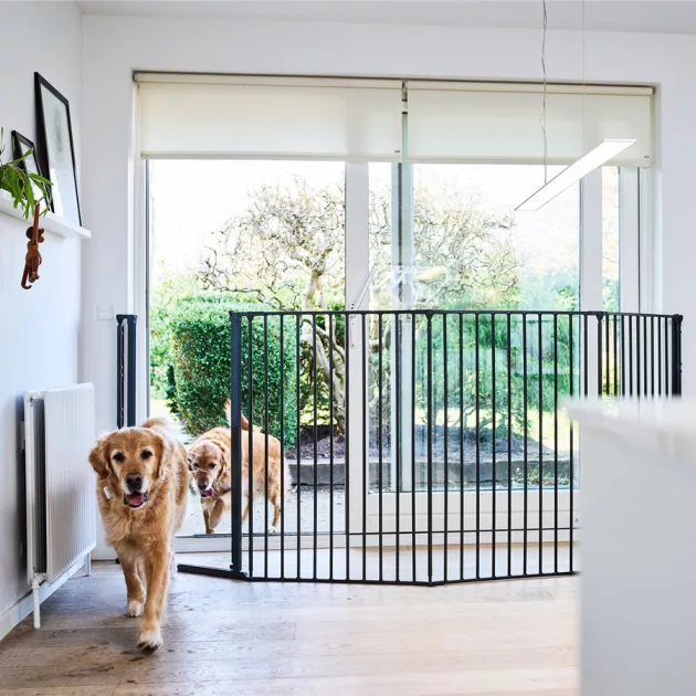 DogSpace Rocky L extra magas (105cm) kutya térkorlát - fekete