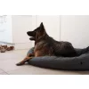 DogSpace Bonie extra magas kutya korlát 105 cm fém - fekete