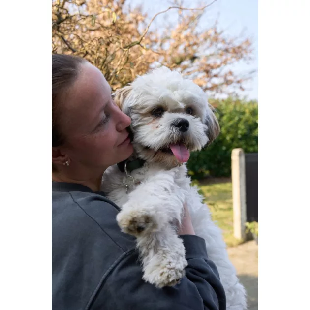 DogSpace Lucky toldalék kapu - metál fehér