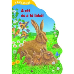 Bob Bampton - A Föld állatai - A rét és a tó lakói