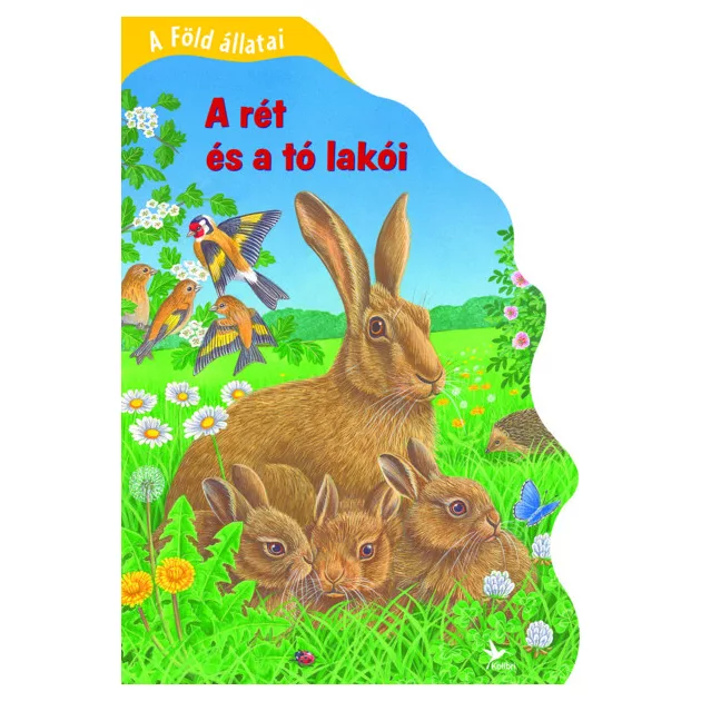 Bob Bampton - A Föld állatai - A rét és a tó lakói