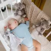 BabyOno csörgő Koala Coco - koala plüss 1631
