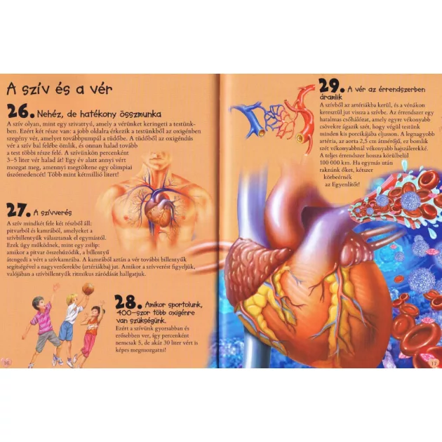 101 dolog, amit jó, ha tudsz az emberi testről