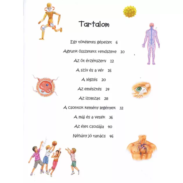 101 dolog, amit jó, ha tudsz az emberi testről