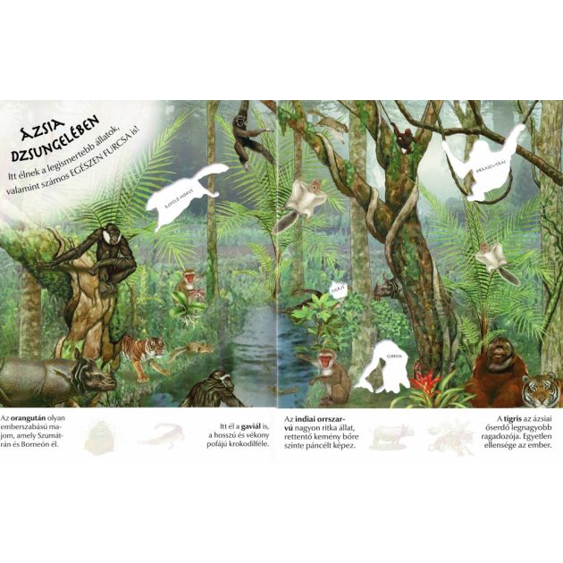 Milyen érdekes a világ... Vadállatok