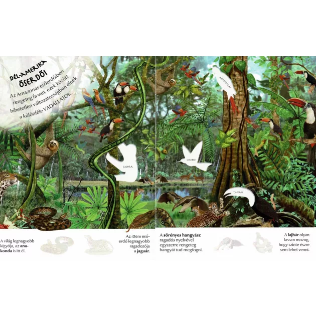 Milyen érdekes a világ... Vadállatok