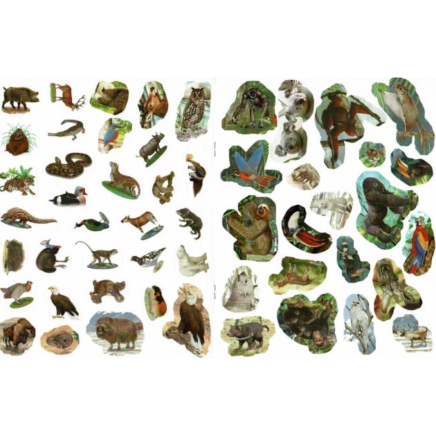 Milyen érdekes a világ... Vadállatok