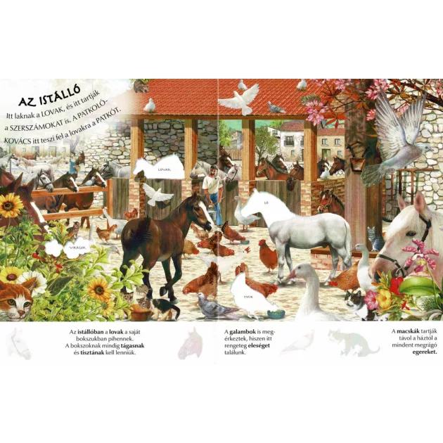 Milyen érdekes a világ... A tanya állatai