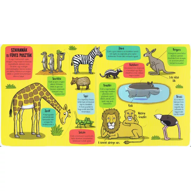 Kis felfedezők - Minden, ami állat