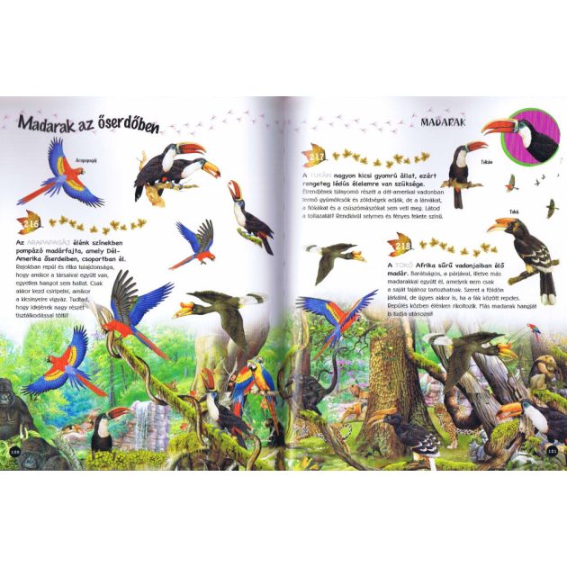 500 érdekesség az állatokról