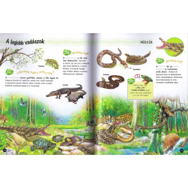 500 érdekesség az állatokról