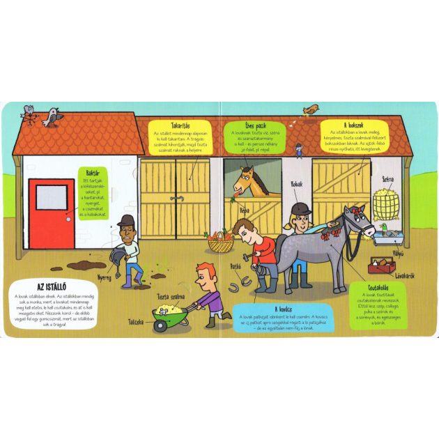 Kis felfedezők - A tanya