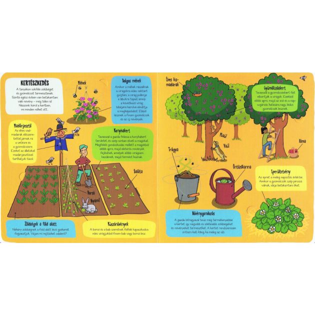 Kis felfedezők - A tanya