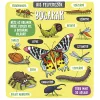 Kis felfedezők - Bogarak