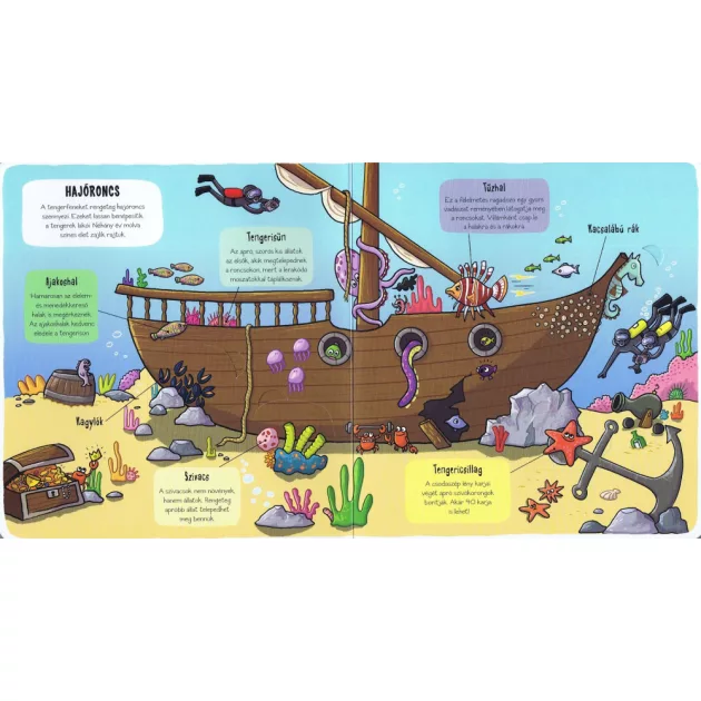 Kis felfedezők - Minden, ami tenger