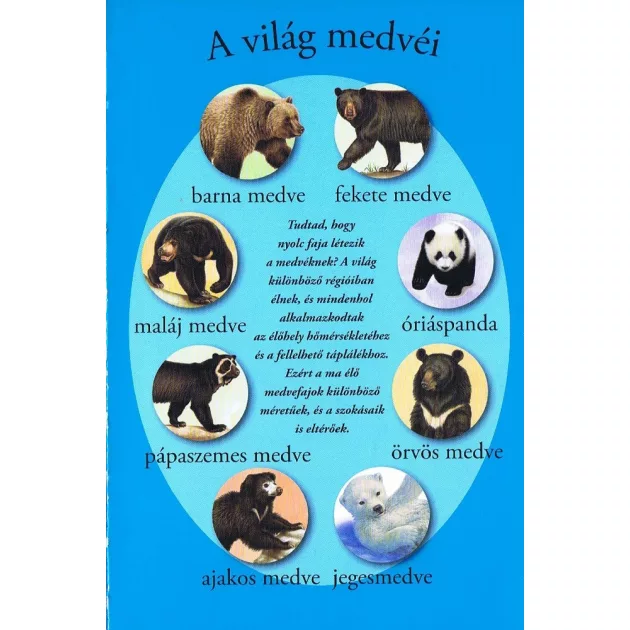 Olvass velünk! (1) - A medvék világa
