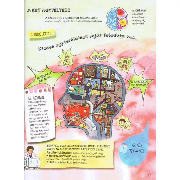 Szórakoztató tudomány - Az emberi test csodája