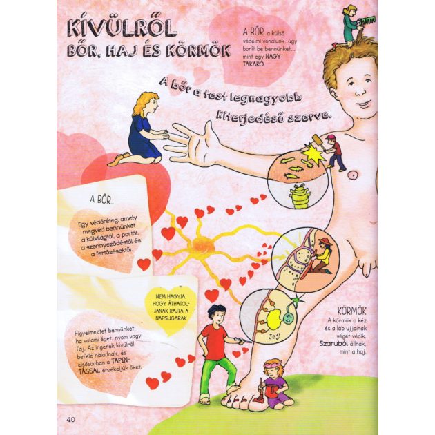 Szórakoztató tudomány - Az emberi test csodája