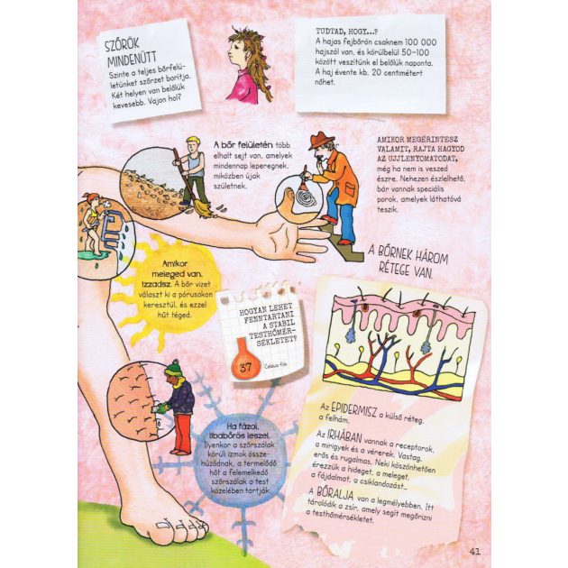 Szórakoztató tudomány - Az emberi test csodája