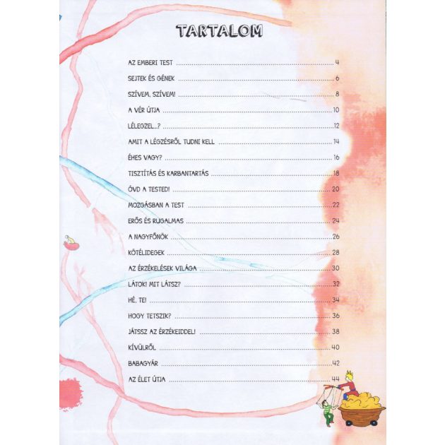 Szórakoztató tudomány - Az emberi test csodája