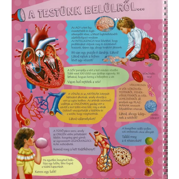 Zseblámpával - Az emberi testben